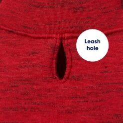 Frisco Sporty Dog & Cat Hoodie -Pet Cat Shop 224225 PT5. AC SS1800 V1637673539