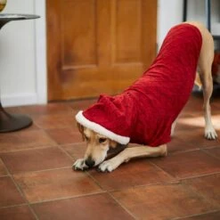 Frisco Textured Knit Dog & Cat Hoodie -Pet Cat Shop 224233 PT7. AC SS1800 V1601578309