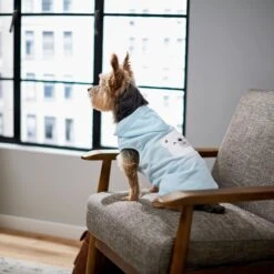 Frisco Mommy's Little Bear Dog & Cat Hoodie -Pet Cat Shop 224272 PT7. AC SS1800 V1599924073