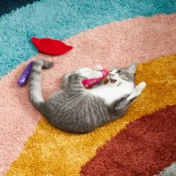 Frisco Retro Lip Gloss Plush Cat Toy With Catnip, 3 Count -Pet Cat Shop 230274 PT3. AC SS1800 V1602639773