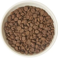 Frisco Double-Sided Ceramic Elevated Cat Bowl -Pet Cat Shop 232081 PT3. AC SS1800 V1605145964