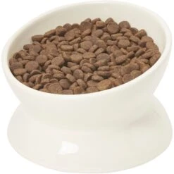 Frisco Double-Sided Ceramic Elevated Cat Bowl -Pet Cat Shop 232081 PT6. AC SS1800 V1684760471