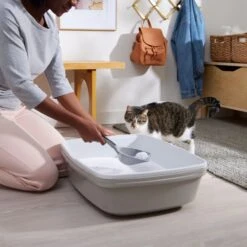 Frisco Micro Crystal Unscented Clumping Crystal Cat Litter -Pet Cat Shop 232119 PT4. AC SS1800 V1660944685