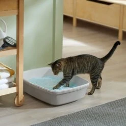 Frisco Micro Crystal Unscented Non-Clumping Crystal Cat Litter -Pet Cat Shop 232121 PT4. AC SS1800 V1659546416