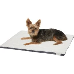 Frisco Self Warming Pillow Rectangular Pet Bed -Pet Cat Shop 232177 PT2. AC SS1800 V1600351596