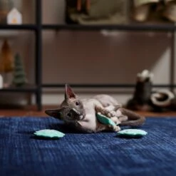 Frisco Snowflake Plush Cat Toy With Catnip, 3 Count -Pet Cat Shop 233285 PT3. AC SS1800 V1661874178