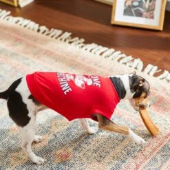 Frisco Love Machine Dog & Cat T-shirt -Pet Cat Shop 238160 PT6. AC SS1800 V1608595661