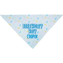 Frisco Birthday Boy Personalized Dog & Cat Bandana -Pet Cat Shop 238329 PT3. AC SS1800 V1618511828