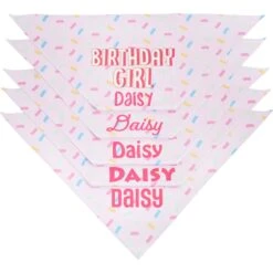 Frisco Birthday Girl Personalized Dog & Cat Bandana -Pet Cat Shop 238333 PT4. AC SS1800 V1618507367