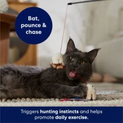 Frisco Zoomies & Chill Popcorn Teaser Wand Cat Toy With Catnip -Pet Cat Shop 241713 PT5. AC SS1800 V1691785246