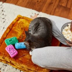 Frisco Zoomies & Chill Gummy Bear Plush Cat Toy With Catnip -Pet Cat Shop 241715 PT6. AC SS1800 V1610768413