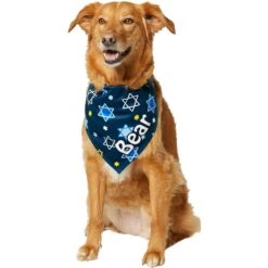Frisco Hanukkah Personalized Dog & Cat Bandana 14 Frisco Hanukkah Personalized Dog & Cat Bandana -Pet Cat Shop 242799 PT6. AC SS1800 V1618511253