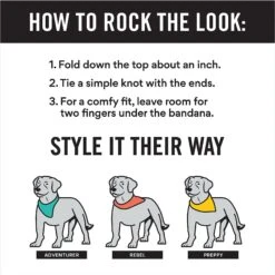 Frisco Blue Snowflakes Personalized Dog & Cat Bandana -Pet Cat Shop 242803 PT2. AC SS1800 V1618510613