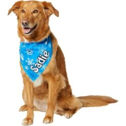Frisco Blue Snowflakes Personalized Dog & Cat Bandana -Pet Cat Shop 242803 PT6. AC SS1800 V1618511278