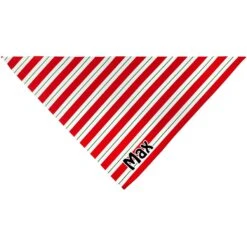 Frisco Peppermint Personalized Dog & Cat Bandana -Pet Cat Shop 242807 PT3. AC SS1800 V1618507377