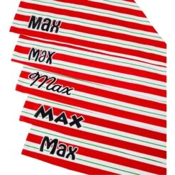 Frisco Peppermint Personalized Dog & Cat Bandana -Pet Cat Shop 242807 PT4. AC SS1800 V1618511553
