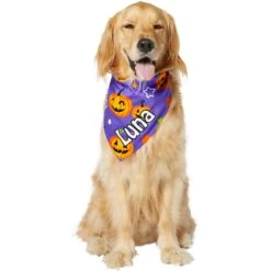 Frisco Halloween Pumpkins Personalized Dog & Cat Bandana -Pet Cat Shop 242815 PT6. AC SS1800 V1618509475