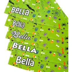 Frisco Halloween Boo! Personalized Dog & Cat Bandana 12 Frisco Halloween Boo! Personalized Dog & Cat Bandana -Pet Cat Shop 244583 PT4. AC SS1800 V1618508254