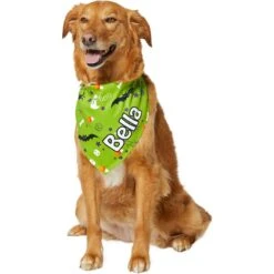 Frisco Halloween Boo! Personalized Dog & Cat Bandana 14 Frisco Halloween Boo! Personalized Dog & Cat Bandana -Pet Cat Shop 244583 PT6. AC SS1800 V1618510307