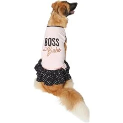Frisco Boss Babe Dog & Cat Dress -Pet Cat Shop 248674 PT2. AC SS1800 V1633060572