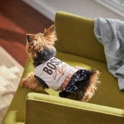 Frisco Boss Babe Dog & Cat Dress -Pet Cat Shop 248674 PT7. AC SS1800 V1613666625