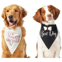 Frisco Wedding Reversible Dog & Cat Bandana -Pet Cat Shop 248712 PT2. AC SS1800 V1632429387