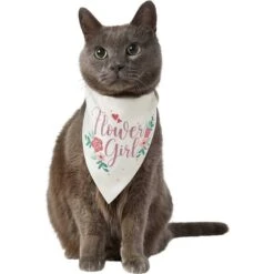Frisco Wedding Reversible Dog & Cat Bandana -Pet Cat Shop 248712 PT3. AC SS1800 V1632431176