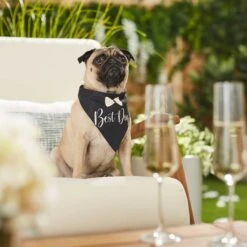 Frisco Wedding Reversible Dog & Cat Bandana -Pet Cat Shop 248712 PT5. AC SS1800 V1632432987