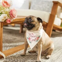 Frisco Wedding Reversible Dog & Cat Bandana -Pet Cat Shop 248712 PT6. AC SS1800 V1632430655