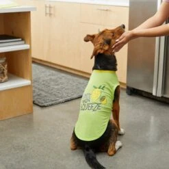 Frisco Mama's Main Squeeze Dog & Cat T-Shirt -Pet Cat Shop 248853 PT7. AC SS1800 V1613683647