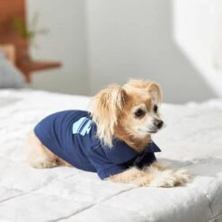 Frisco Dog & Cat Polo Shirt With Accent Pocket 15 Frisco Dog & Cat Polo Shirt With Accent Pocket -Pet Cat Shop 248880 PT7. AC SS1800 V1644960683