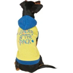 Frisco Leader Of The Pack Dog & Cat Hoodie -Pet Cat Shop 248905 PT2. AC SS1800 V1637686650