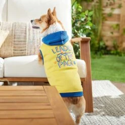 Frisco Leader Of The Pack Dog & Cat Hoodie -Pet Cat Shop 248905 PT5. AC SS1800 V1637682701