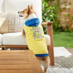 Frisco Leader Of The Pack Dog & Cat Hoodie -Pet Cat Shop 248905 PT7. AC SS1800 V1613752118