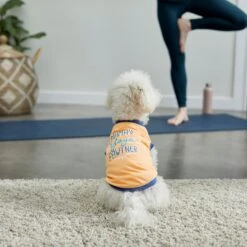 Frisco Mama's Yoga Pawtner Dog & Cat T-Shirt -Pet Cat Shop 248966 PT7. AC SS1800 V1614201756