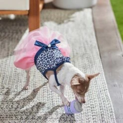 Frisco Leopard Print Dog & Cat Dress 11 Frisco Leopard Print Dog & Cat Dress -Pet Cat Shop 249051 PT5. AC SS1800 V1644960386