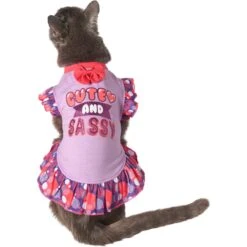Frisco Cute & Sassy Dog & Cat Dress -Pet Cat Shop 249073 PT2. AC SS1800 V1644959826
