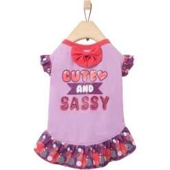 Frisco Cute & Sassy Dog & Cat Dress -Pet Cat Shop 249073 PT3. AC SS1800 V1644960094
