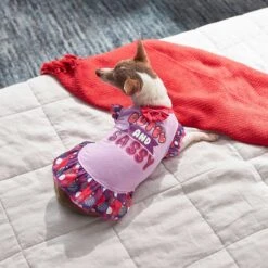 Frisco Cute & Sassy Dog & Cat Dress -Pet Cat Shop 249073 PT5. AC SS1800 V1644960392