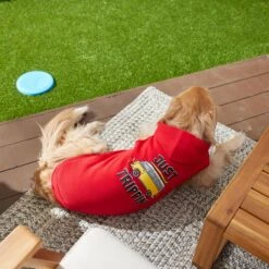 Frisco Just Trippin' Dog & Cat Hoodie -Pet Cat Shop 249086 PT7. AC SS1800 V1614361932