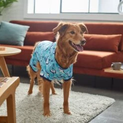 Frisco Happy Shark Dog & Cat Jersey PJs -Pet Cat Shop 249122 PT7. AC SS1800 V1614276183
