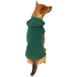 Frisco Dog & Cat Basic Hoodie -Pet Cat Shop 249154 PT2. AC SS1800 V1633073480