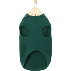 Frisco Dog & Cat Basic Hoodie -Pet Cat Shop 249154 PT3. AC SS1800 V1633081609