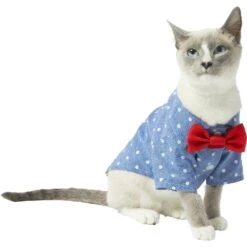 Frisco Polka Dot Chambray Dog & Cat Button Up Shirt -Pet Cat Shop 249162 PT2. AC SS1800 V1614202882