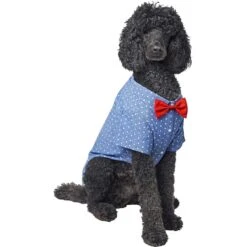 Frisco Polka Dot Chambray Dog & Cat Button Up Shirt -Pet Cat Shop 249162 PT3. AC SS1800 V1624599756