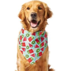 Frisco Fruity Summer Dog & Cat Bandana -Pet Cat Shop 249204 PT2. AC SS1800 V1637644629