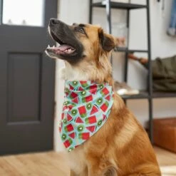 Frisco Fruity Summer Dog & Cat Bandana -Pet Cat Shop 249204 PT4. AC SS1800 V1637668676