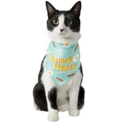 Frisco Brunch Please Dog & Cat Bandana -Pet Cat Shop 249207 PT2. AC SS1800 V1696597732