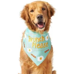 Frisco Brunch Please Dog & Cat Bandana -Pet Cat Shop 249207 PT3. AC SS1800 V1696597730