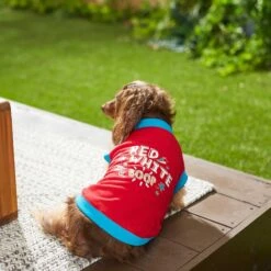 Frisco Red, White & Boop Dog & Cat T-Shirt -Pet Cat Shop 249242 PT5. AC SS1800 V1624616560